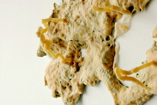 HOST by Jasmyne Graybill HOST by Jasmyne Graybill