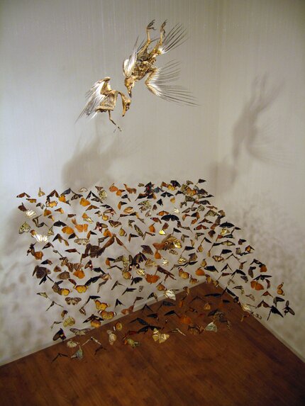 claire morgan