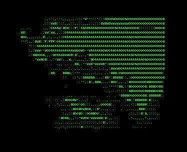 ascii art ensemble
