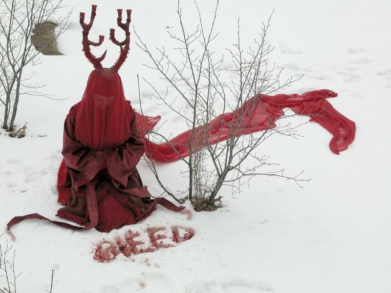 vigildeer