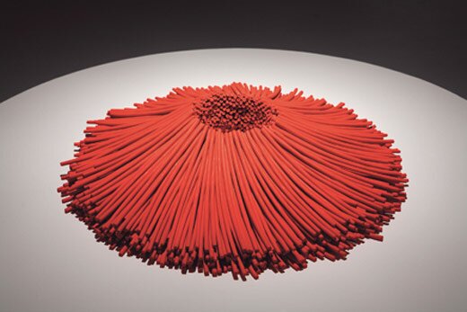 Bean Finneran, Red Core