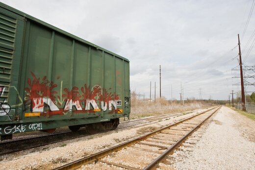 Rakun on Shady Lane (Texas Biennial) Rakun on Shady Lane (Texas Biennial)